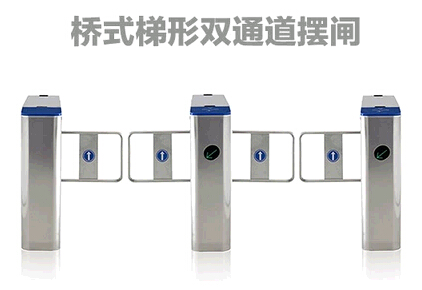 定安经济摆闸
